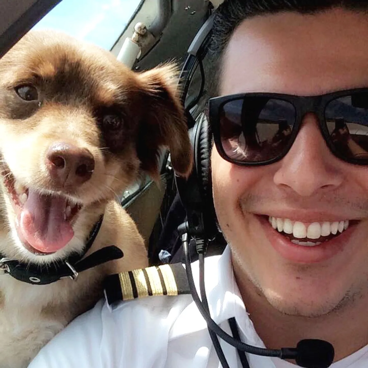 Pilot with a dog before departure — pet-friendly private charter flights to The Bahamas with Bahamas Charter Flights since 1987.
